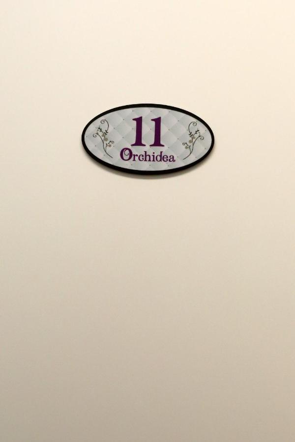 Orchidea Rooms & Suites Civitanova Marche Exteriér fotografie